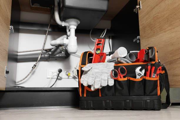Best Clogged Drain Plumber  in Lake Nacimiento, CA