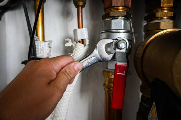 Best Local Plumber Services  in Lake Nacimiento, CA